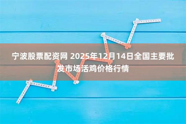 宁波股票配资网 2025年12月14日全国主要批发市场活鸡价格行情