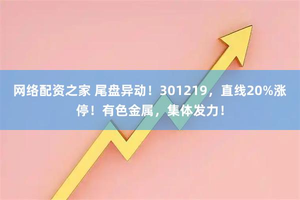 网络配资之家 尾盘异动！301219，直线20%涨停！有色金属，集体发力！
